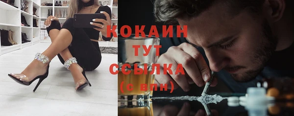 дмт Новодвинск