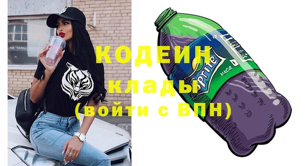 дмт Новодвинск