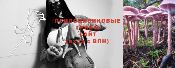 2c-b Новозыбков